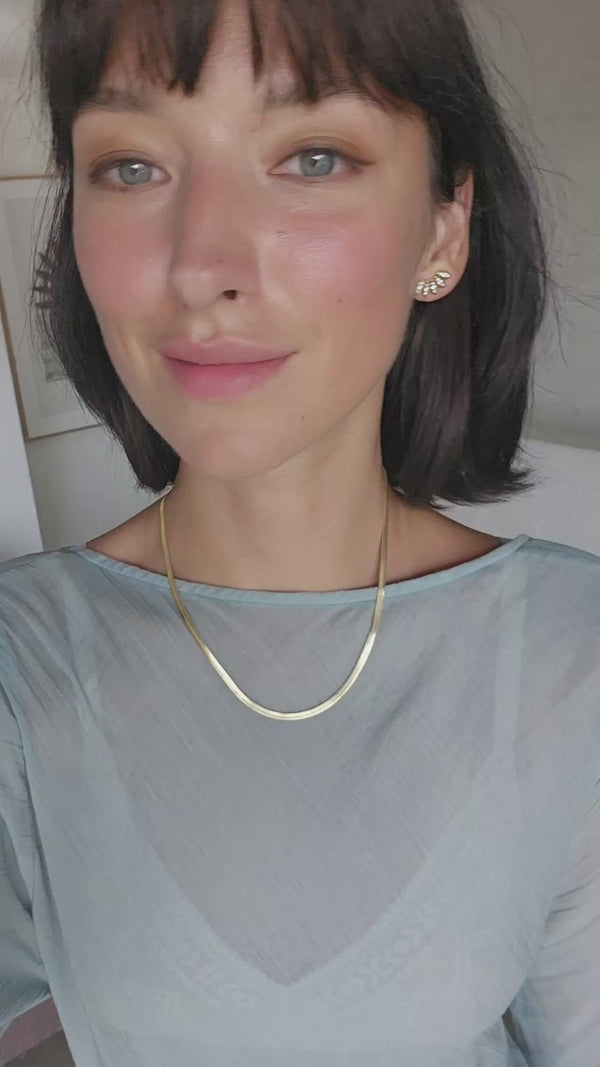 Video 1